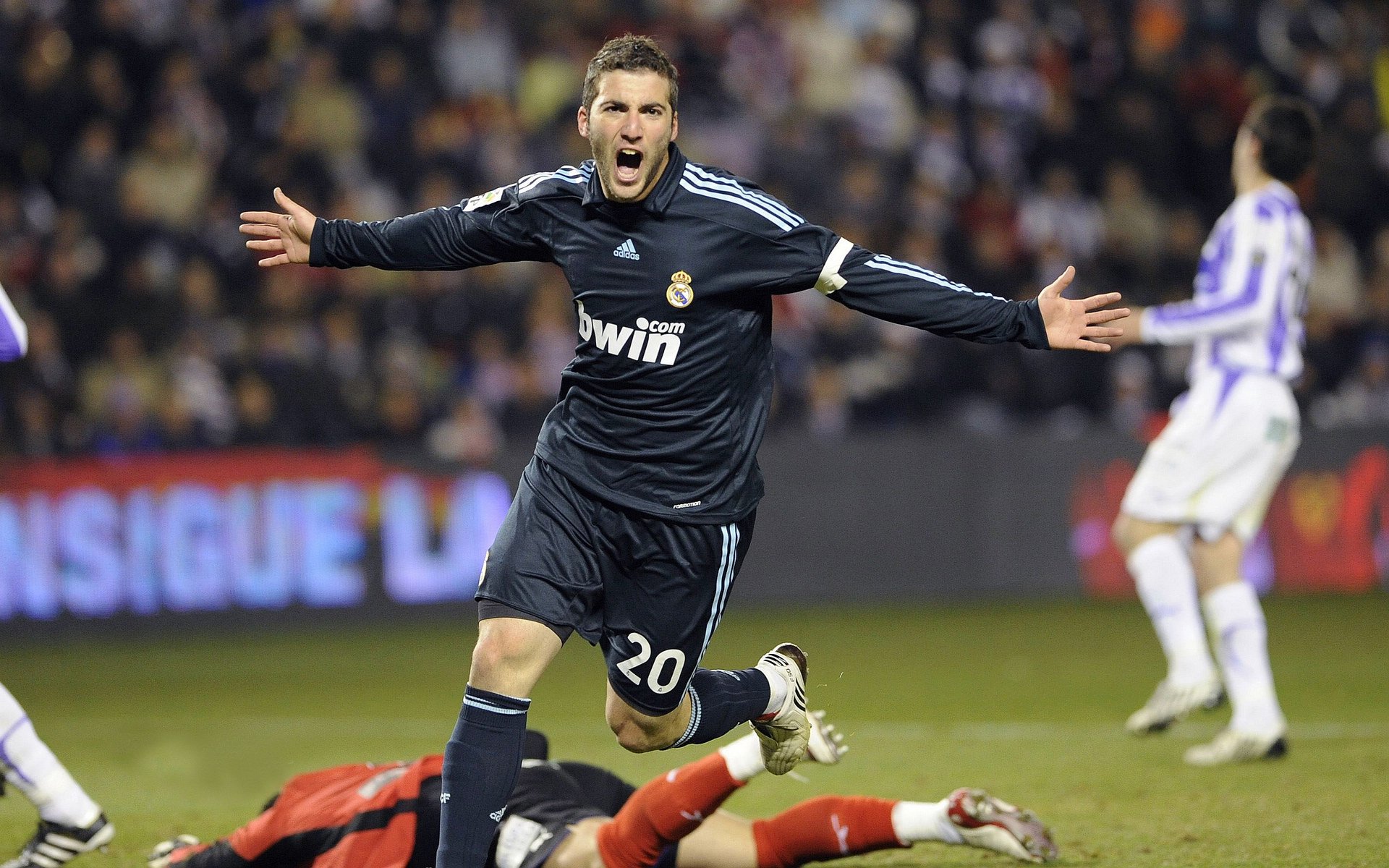 日本新星点燃希望之火！，2020日本新星