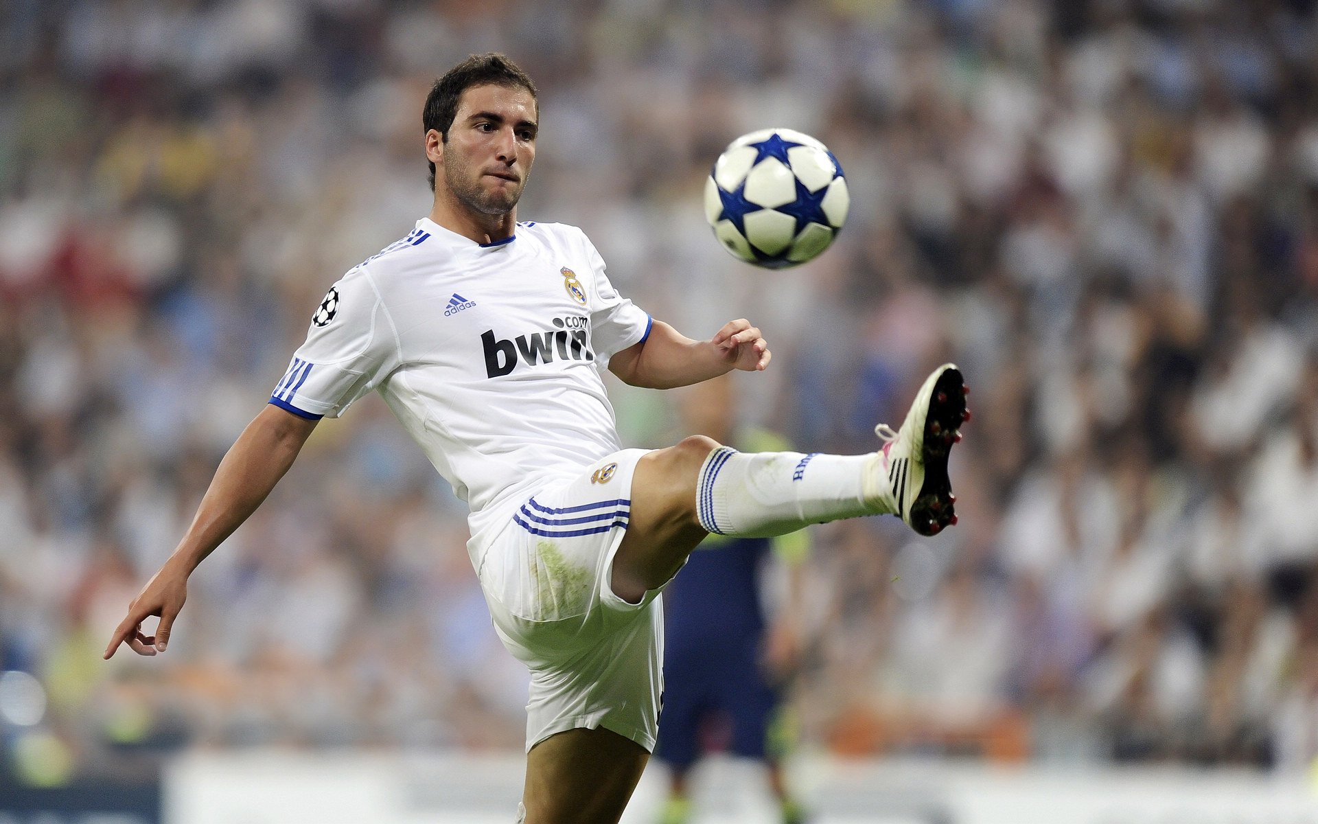 日本铁血防线，固若金汤！